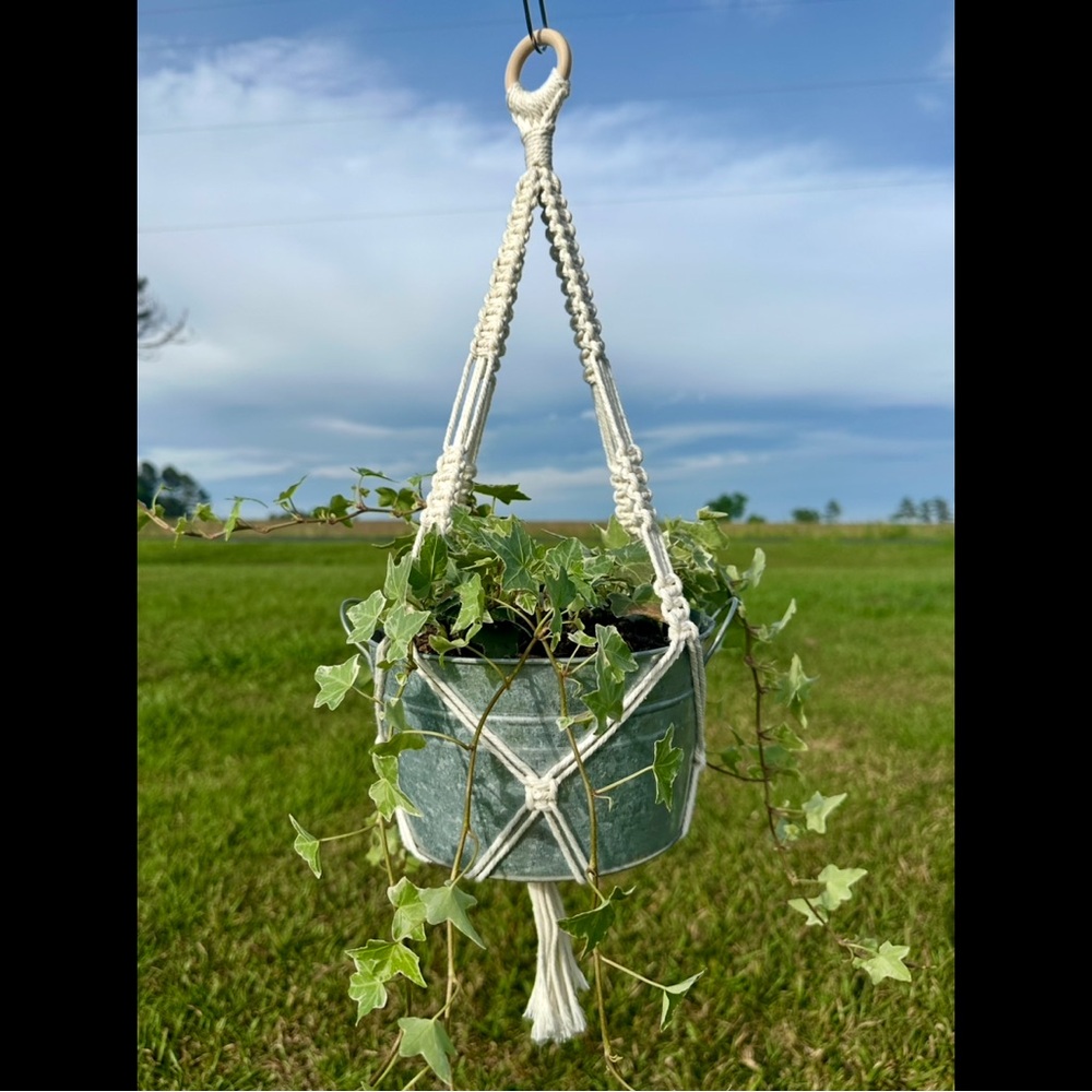 Macrame Plant Hanger